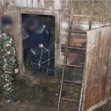 Bistra: Tigari de contrabanda ascunse in sopron Bistra: Tigari de contrabanda ascunse in sopron