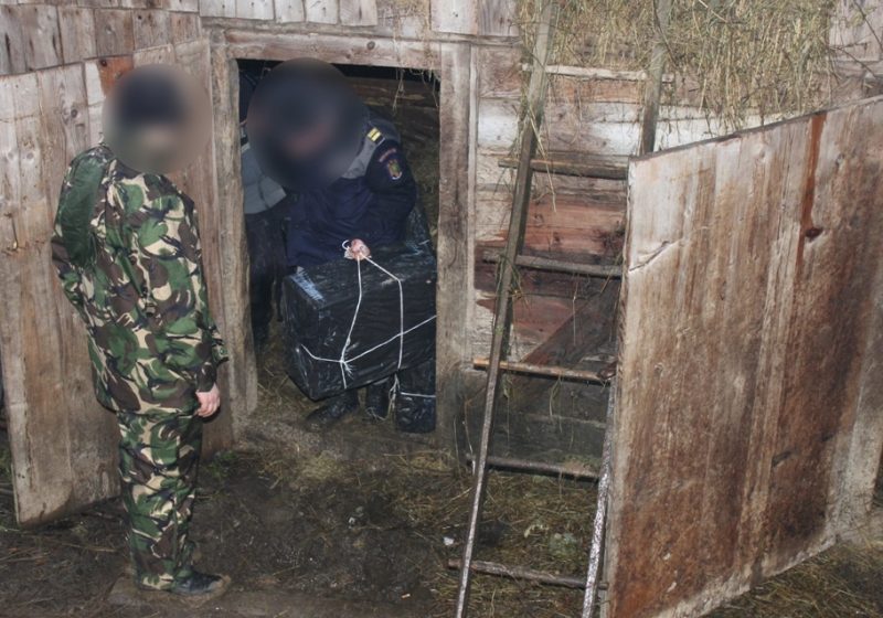 Bistra: Tigari de contrabanda ascunse in sopron