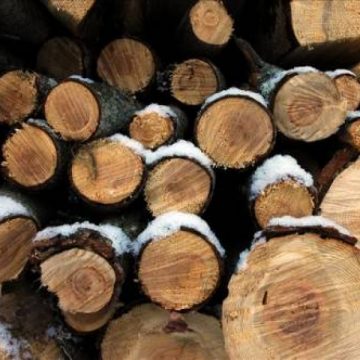 SIGHET: Un sighetean a furat lemnul de foc al vecinului său SIGHET: Un sighetean a furat lemnul de foc al vecinului său