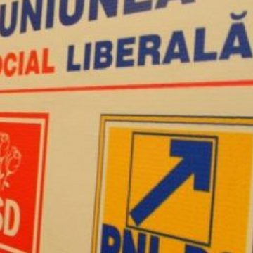 USL: Intenţia PDL de a permite funcţionarilor publici să candideze – o nouă tehnică de perfecţionare a furtului în alegeri USL: Intenţia PDL de a permite funcţionarilor publici să candideze – o nouă tehnică de perfecţionare a furtului în alegeri