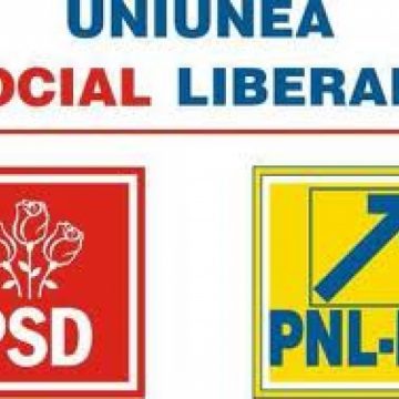 USL SUSTINE IN CONTINUARE INLOCUIREA ACTUALULUI GUVERN