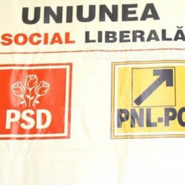 Maramureş: Parlamentarii maramureşeni din USL intră în grevă parlamentară până la alegeri Maramureş: Parlamentarii maramureşeni din USL intră în grevă parlamentară până la alegeri