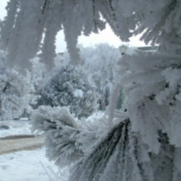 Vreme geroasă în Maramureş Vreme geroasă în Maramureş
