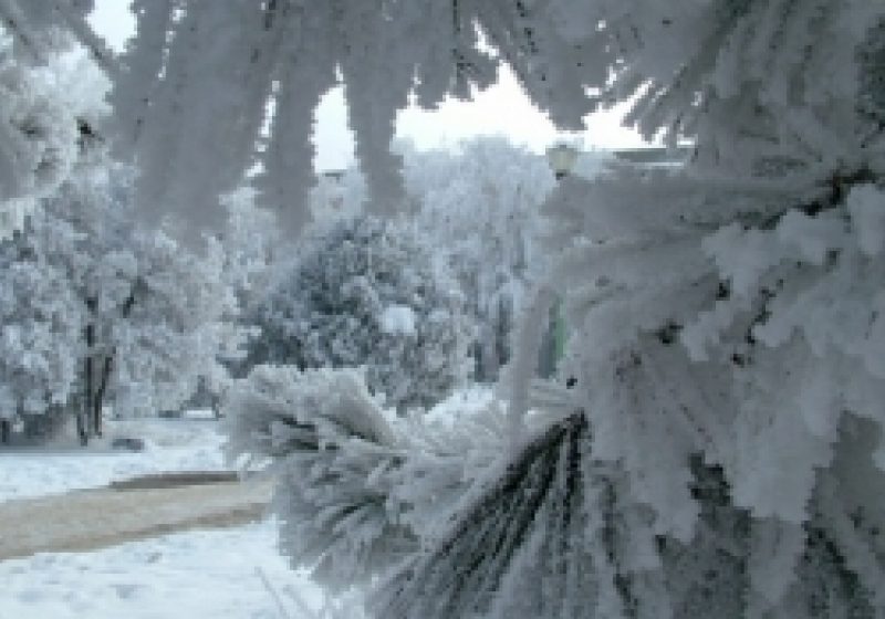Vreme geroasă în Maramureş
