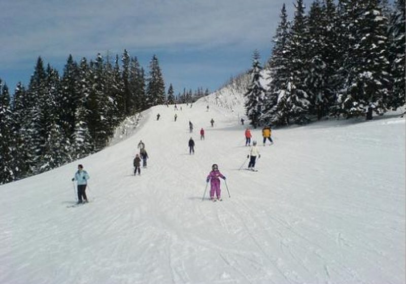 Accident pe pârtiile de la Cavnic şi Şuior Accident pe pârtiile de la Cavnic şi Şuior