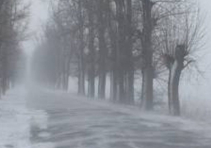 Baia Mare: Află cum va fi vremea astăzi în judeţ Baia Mare: Află cum va fi vremea astăzi în judeţ