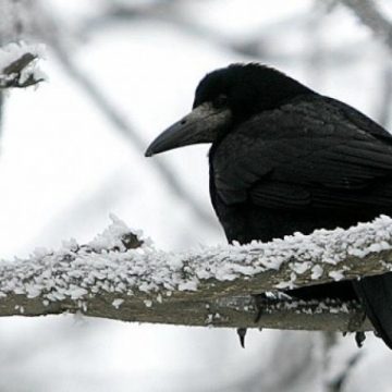 Baia Mare: Află cum va fi vremea astăzi în judeţ