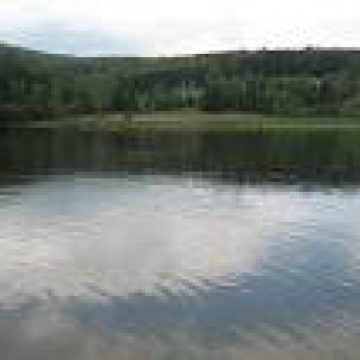 Baia Mare: Nivelurile şi cursurile de apă din judeţ sunt uşor variabile Baia Mare: Nivelurile şi cursurile de apă din judeţ sunt uşor variabile