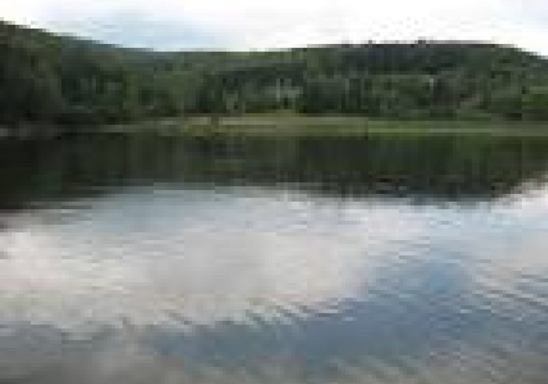 Baia Mare: Nivelurile şi cursurile de apă din judeţ sunt uşor variabile