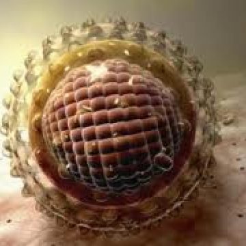 Congres asupra afecţiunilor hepatice la Paris