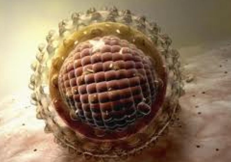 Congres asupra afecţiunilor hepatice la Paris