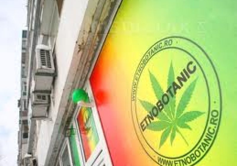 SIGHET: Minor consumator de etnobotanice reţinut pentru furt