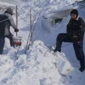 Baia Mare: Donaţii umanitare pentru sinistraţii din Buzău şi Vrancea Baia Mare: Donaţii umanitare pentru sinistraţii din Buzău şi Vrancea