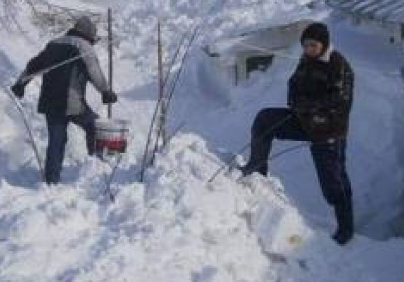Baia Mare: Donaţii umanitare pentru sinistraţii din Buzău şi Vrancea