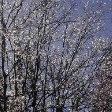 FREEZING RAIN vine şi la Bucureşti: Fenomenul meteo a apărut deja în unele zone ale ţării