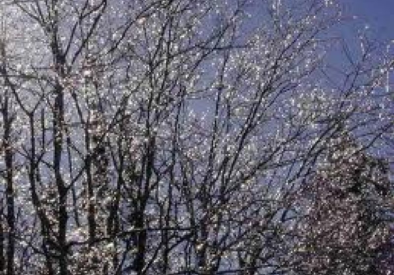 FREEZING RAIN vine şi la Bucureşti: Fenomenul meteo a apărut deja în unele zone ale ţării