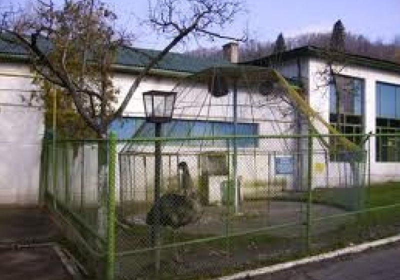 Baia Mare: Animalele de la Grădina Zoologică beneficiază de tratament preferenţial pe perioada gerului