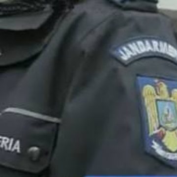 Baia Mare: Un jandarm maramureşean a fost muşcat de un pitbull