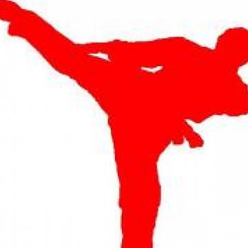 SIGHET: Întorşi acasă cu medalii de la competitia de karate "International Banzai Cup" SIGHET: Întorşi acasă cu medalii de la competitia de karate "International Banzai Cup"