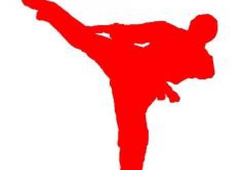 SIGHET: Întorşi acasă cu medalii de la competitia de karate "International Banzai Cup"