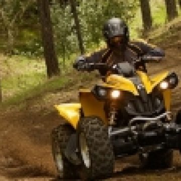 Flagrant la Borşa, unde un tânăr de 15 ani a fost surprins de poliţişti în timp ce comitea un furt Flagrant la Borşa, unde un tânăr de 15 ani a fost surprins de poliţişti în timp ce comitea un furt