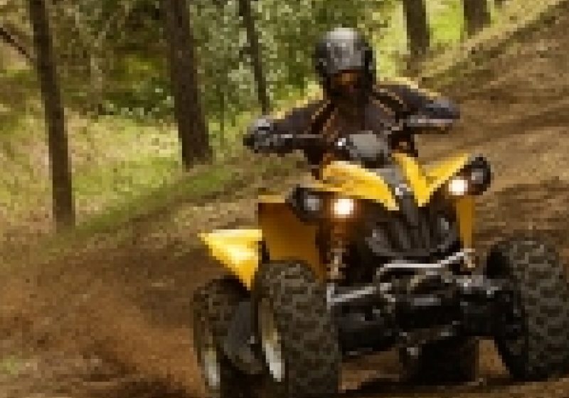Flagrant la Borşa, unde un tânăr de 15 ani a fost surprins de poliţişti în timp ce comitea un furt
