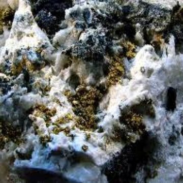 Baia Mare: „Auziţi, Vedeţi, Miraţi-vă! Expoziţie de publicitate” – la Muzeul de Mineralogie Baia Mare: „Auziţi, Vedeţi, Miraţi-vă! Expoziţie de publicitate” – la Muzeul de Mineralogie