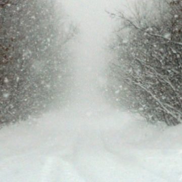 Avertizarea de ninsori viscolite şi vânt în Maramureş!