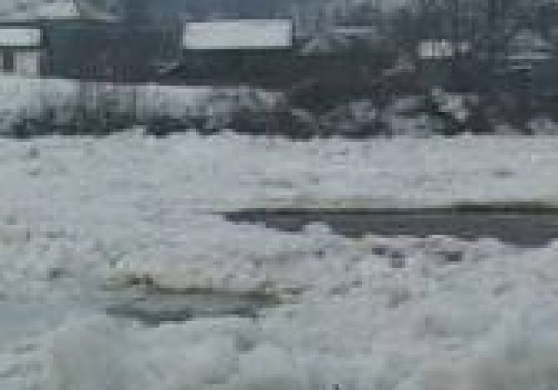 Baia Mare: Nivelurile şi cursurile de apă din judeţ sunt uşor variabile. Nu există pericol de inundaţii