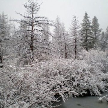 Nou record al frigului în Elveţia: minus 35,1 grade Celsius