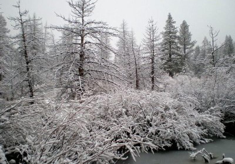 Nou record al frigului în Elveţia: minus 35,1 grade Celsius Nou record al frigului în Elveţia: minus 35,1 grade Celsius