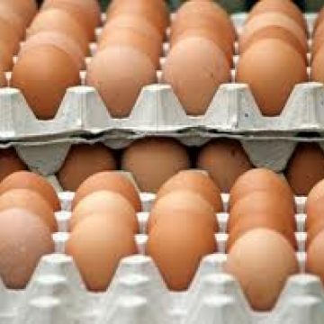 25.000 de ouă consum  fără documente de transport au fost depistate la Sârbi