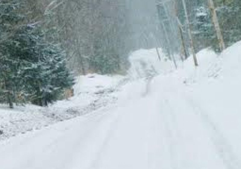 Prislop: Atenţie, şoferi! La această oră ninge viscolit în Pasul Prislop! Prislop: Atenţie, şoferi! La această oră ninge viscolit în Pasul Prislop!