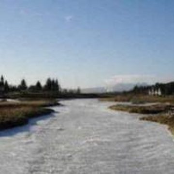Baia Mare: Podurile de gheaţă formate pe râuri ameninţă judeţul cu inundaţii Baia Mare: Podurile de gheaţă formate pe râuri ameninţă judeţul cu inundaţii