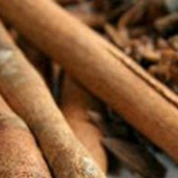 Scorţişoara, aroma de mentă şi seminţele de dovleac, afrodisiace naturale Scorţişoara, aroma de mentă şi seminţele de dovleac, afrodisiace naturale