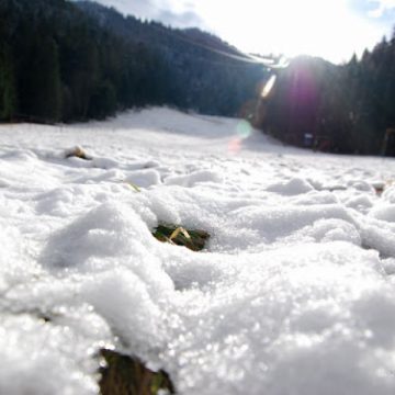 Maramureş: Vezi câţi centimetri măsoară stratul de zăpadă în judeţ