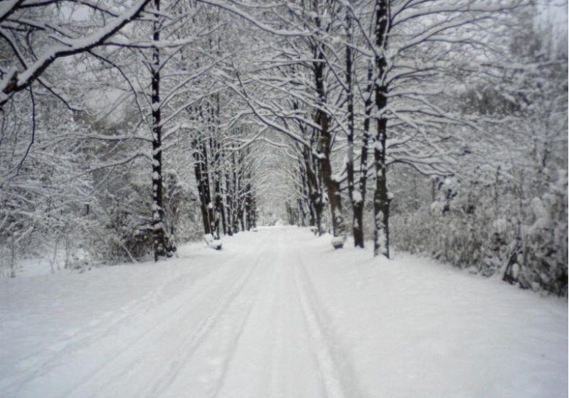 Baia Mare: Stratul de zăpadă a ajuns la 110 cm la Barajul Runcu şi 100 cm la Cavnic Baia Mare: Stratul de zăpadă a ajuns la 110 cm la Barajul Runcu şi 100 cm la Cavnic