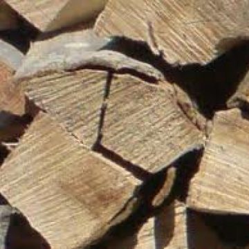 Tăiere ilegală de arbori la Ocna Şugatag Tăiere ilegală de arbori la Ocna Şugatag