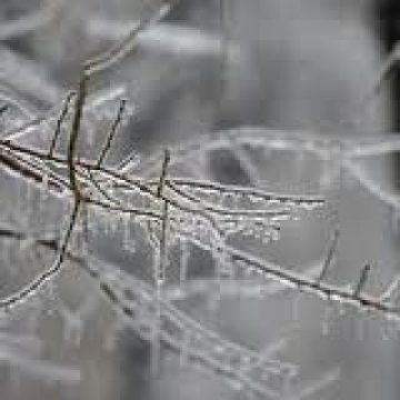 Temperaturi minime cuprinse între -25 şi – 15 grade, până duminică, în toată ţara Temperaturi minime cuprinse între -25 şi – 15 grade, până duminică, în toată ţara