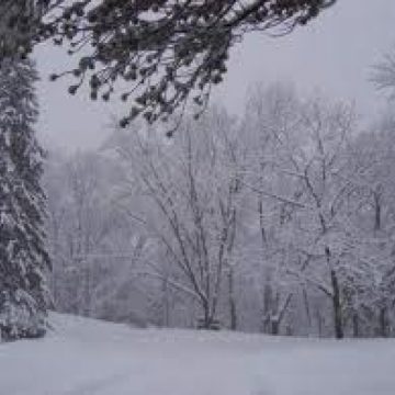 Temperaturi negative în noaptea de joi spre vineri în Maramureş Temperaturi negative în noaptea de joi spre vineri în Maramureş