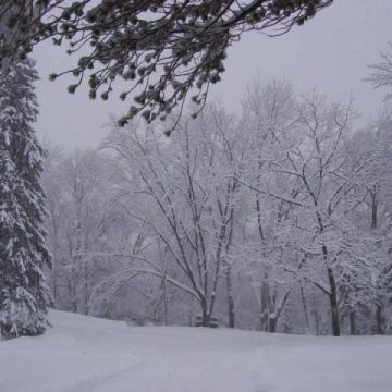 Maramureş: A cincea zi cu temperaturi negative extreme