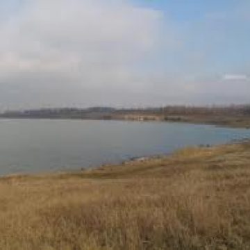 SIGHET: Elevii de la Lowey Klara au marcat Ziua Mondială a Zonelor Umede