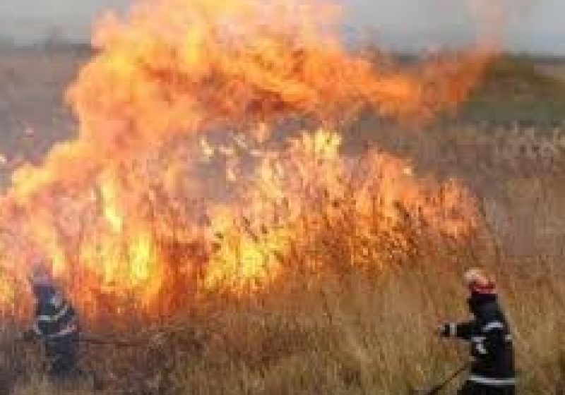 40 de incendii în doar 2 zile 40 de incendii în doar 2 zile