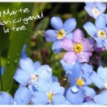 SIGHET: Fără femeie, viaţa n-are rost – un mesaj transmis astăzi prin specacolul omagial "Eternul feminin"organizat de 8 Martie la Şcoala de Artă Gheorghe Chivu SIGHET: Fără femeie, viaţa n-are rost – un mesaj transmis astăzi prin specacolul omagial "Eternul feminin"organizat de 8 Martie la Şcoala de Artă Gheorghe Chivu