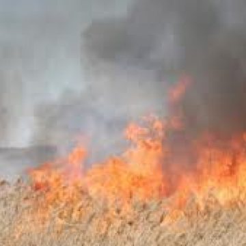 Pompierii au fost nevoiţi să intervină la nu mai puţin de 9 incendii de vegetaţie uscată, care au afectat o suprafaţă de circa 60 de hectare de teren Pompierii au fost nevoiţi să intervină la nu mai puţin de 9 incendii de vegetaţie uscată, care au afectat o suprafaţă de circa 60 de hectare de teren