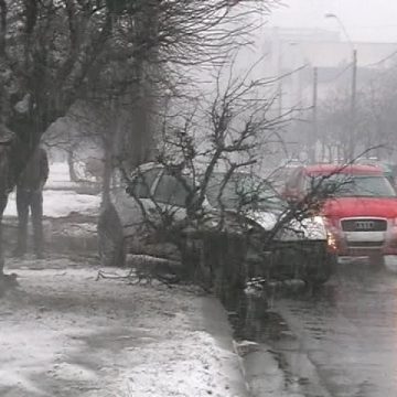 Baia Mare: ACCIDENT – O şoferiţă a scăpat nevătămată după ce a pierdut controlul volanului şi a ieşit în afara părţii carosabile Baia Mare: ACCIDENT – O şoferiţă a scăpat nevătămată după ce a pierdut controlul volanului şi a ieşit în afara părţii carosabile