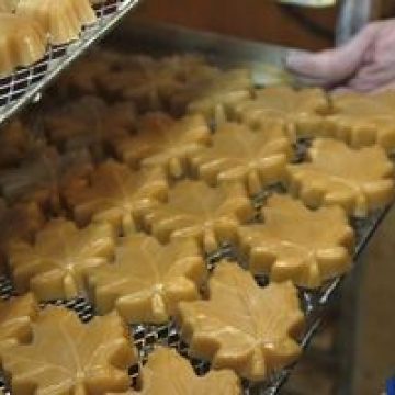 Alimentele sărate responsabile de obezitatea la copii
