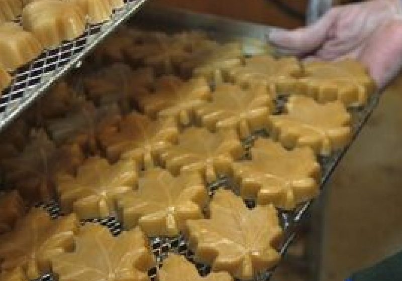 Alimentele sărate responsabile de obezitatea la copii Alimentele sărate responsabile de obezitatea la copii