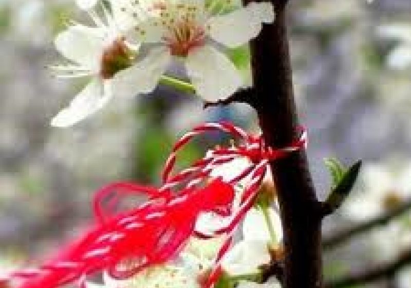 Respectând spiritul tradiţiei, maramureşenii de dincolo de Tisa din localitatea Biserica Albă au cinstit sosirea primăverii