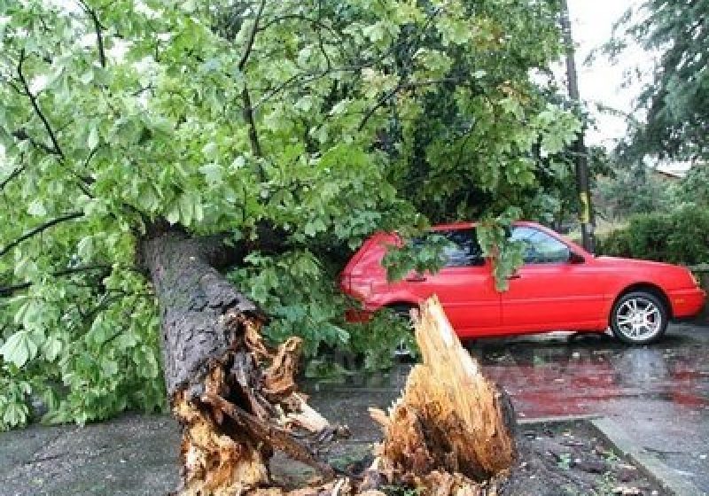 Avertizare meteo pentru mai multe judete din Moldova Avertizare meteo pentru mai multe judete din Moldova